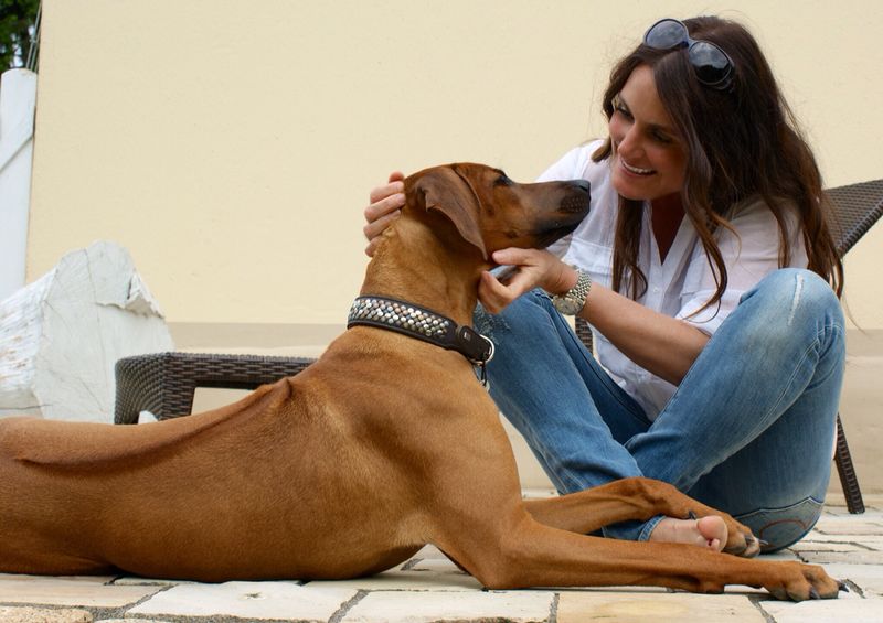 African Roots Rhodesian Ridgebacks