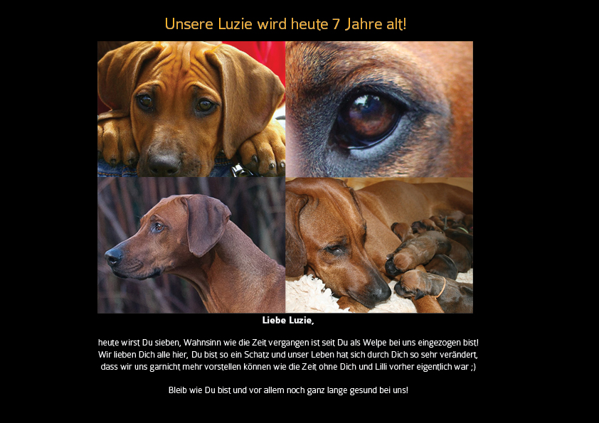 happy birthday luzie ridgeback