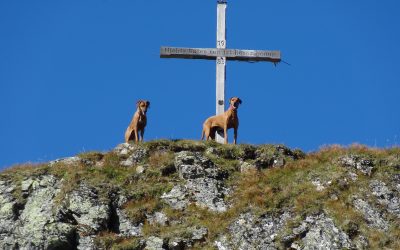 Wunderbare Fotos von Kyra und Anouk aus den Bergen Tirols